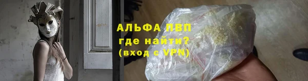 ешки Белокуриха