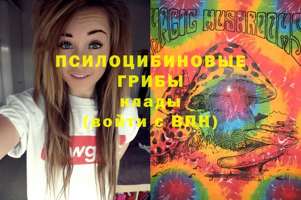 ешки Белокуриха