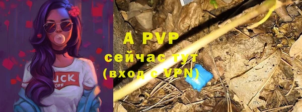 ешки Белокуриха