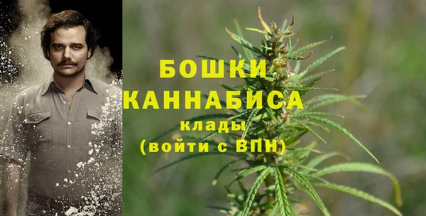 ешки Белокуриха